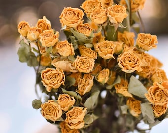 Dried Yellow Mini Roses | 2 oz Bunch | Stems for Wedding Bouquets and Spring, Easter Decor
